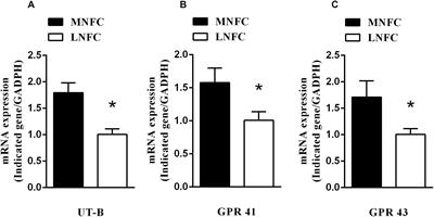 Effects of Dietary-SCFA on Microbial Protein Synthesis and Urinal Urea-N Excretion Are Related to Microbiota Diversity in Rumen